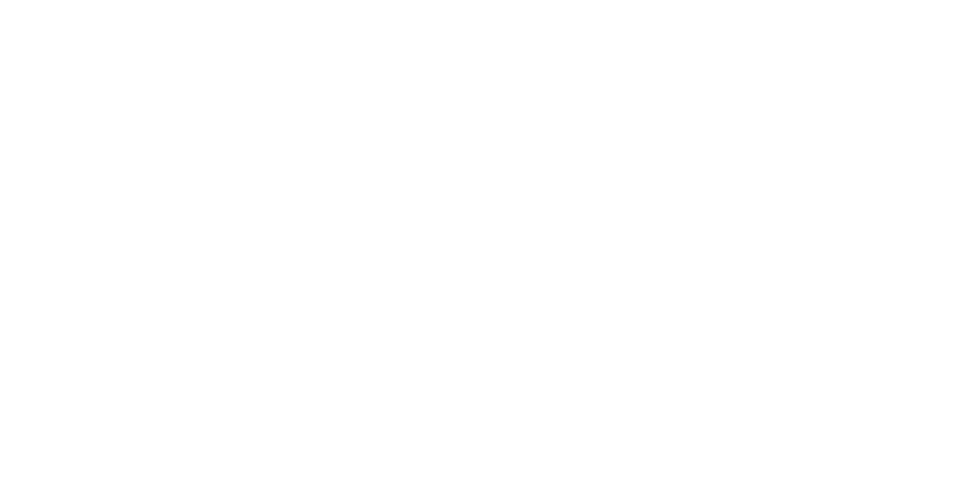 Logo NS Auto